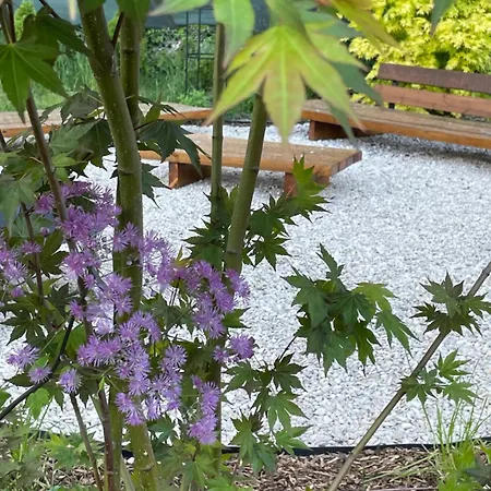 Naturliebe - Grünes Paradies Im Zentrum