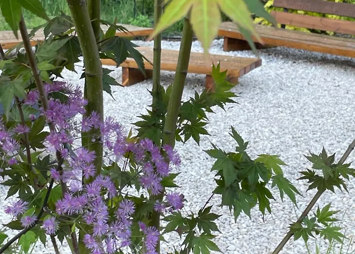 Naturliebe - Grünes Paradies Im Zentrum